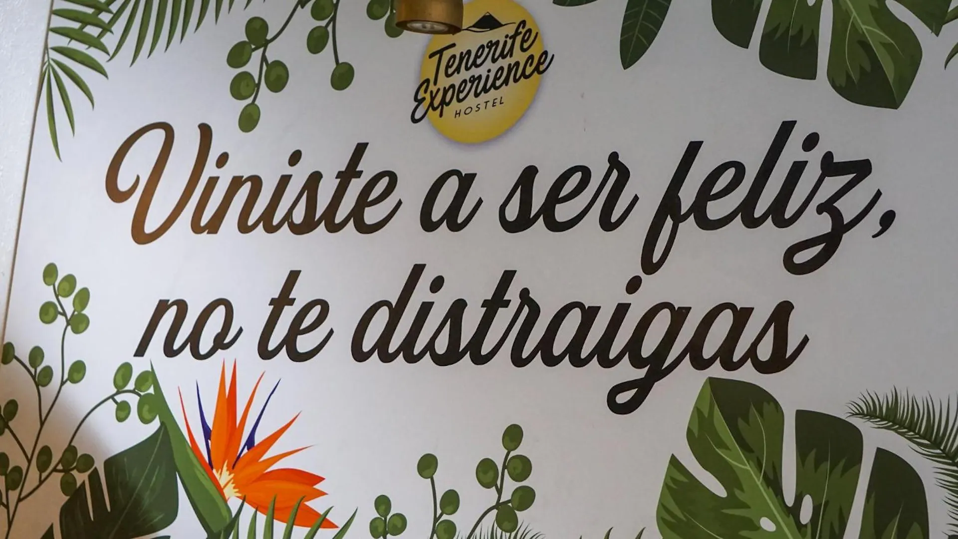 Tenerife Experience Hostel Santa Cruz de Tenerife